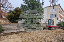 Антоново - благоустрояване - парк