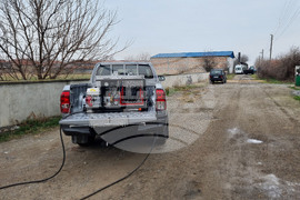 Село Желю войвода - заразени животни