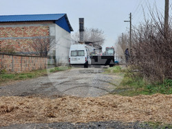 Село Желю войвода - заразени животни
