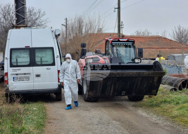 No Signs of Goat Plague and Sheep Pox in Yambol Region