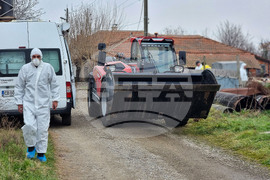 Село Желю войвода - заразени животни
