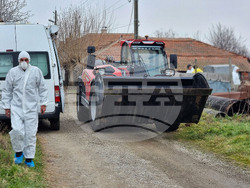 Село Желю войвода - заразени животни