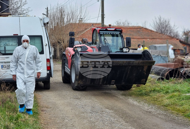 Sheep Pox Detected in Village near Svilengrad