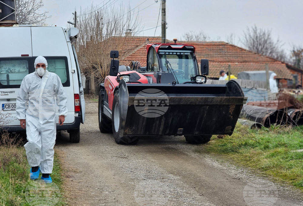 Село Желю войвода - заразени животни