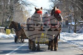 Банско - Тодоровден 