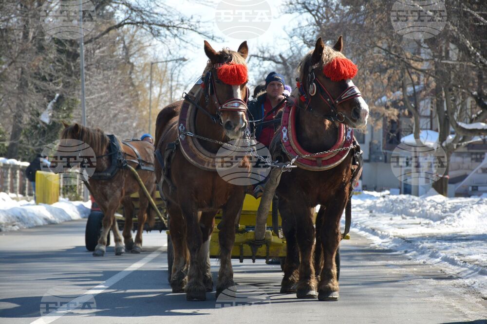 Банско - Тодоровден 