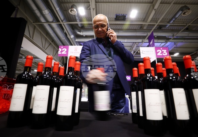 Изложение DiVino Taste