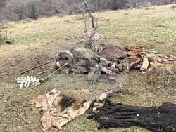 Снимка: Министерство на околната среда и водите