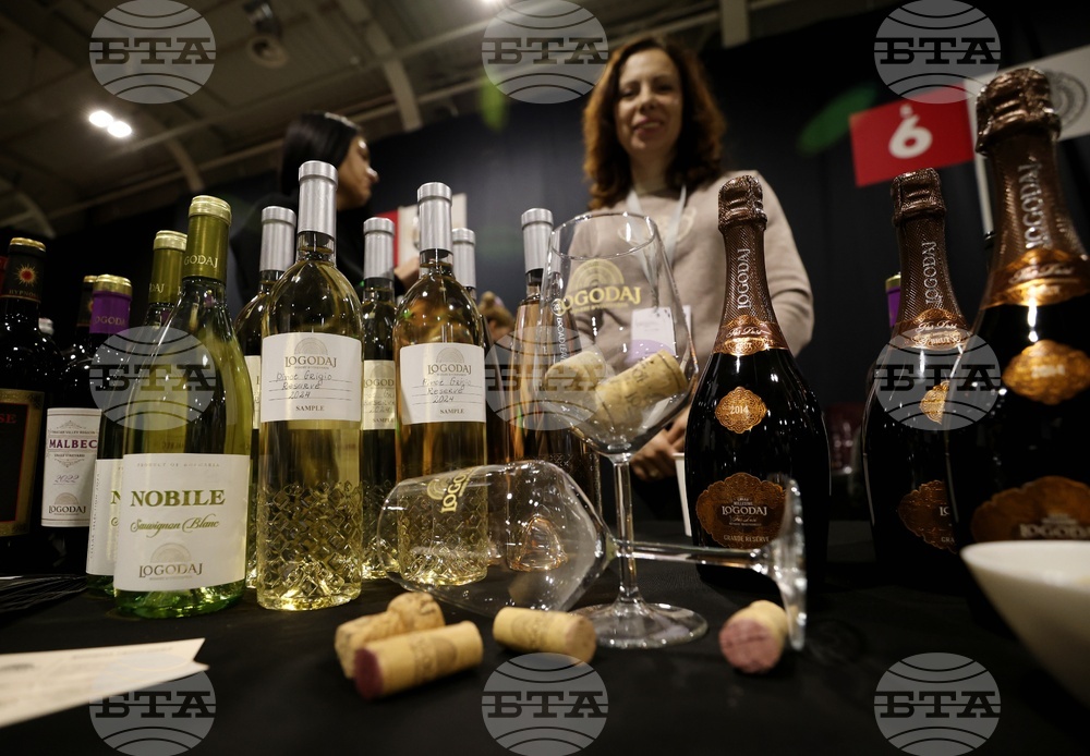 Изложение DiVino Taste