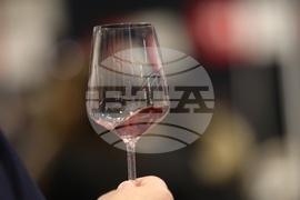 Изложение DiVino Taste