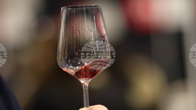 DiVino.Taste Forum to Bring Together the World of Bulgarian Wine from November 28 to 30