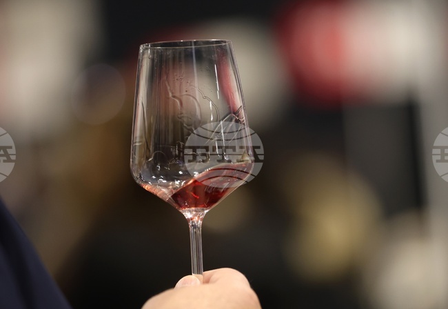 DiVino.Taste Forum to Bring Together the World of Bulgarian Wine from November 28 to 30