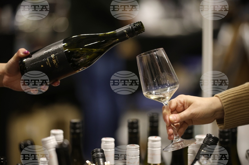 Изложение DiVino Taste