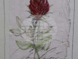 Снимка: ОА Русе