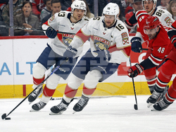 Panthers Hurricanes Hockey