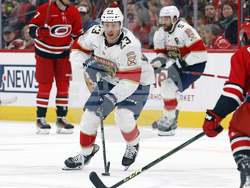 Panthers Hurricanes Hockey