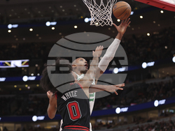 Celtics Bulls Basketball