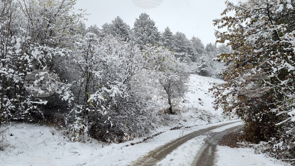 Пътищата в Пернишка област са почистени и проходими при зимни условия