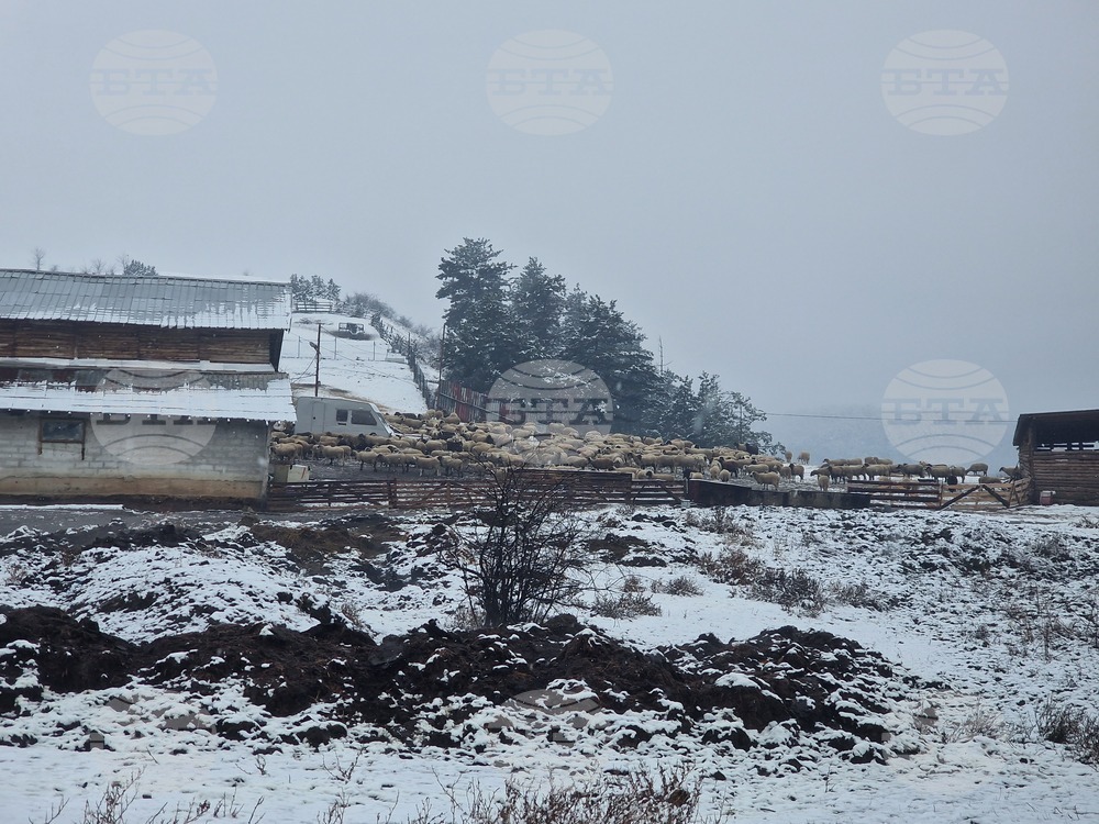 Няма напрежение между полицията и протестиращите животновъди във Велинград, каза говорителят на полицията Мирослав Стоянов