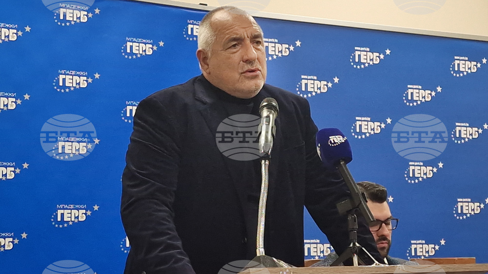 GERB Leader Wants Regular Government, Says Party Would Take Responsibility if Allowed