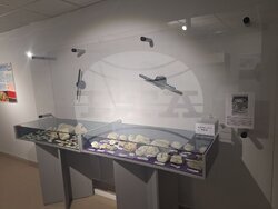 благотворителен базар - чепеларе