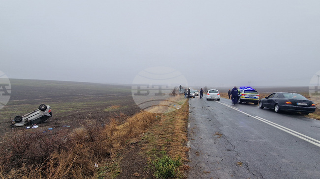 Мъж на 20 години е с опасност за живота след сблъсък на автомобил с внезапно излязло на пътя диво прасе край Симеоновград