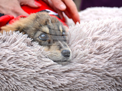 Снимка: Община Варна