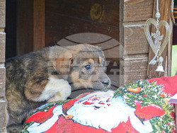 Снимка: Община Варна