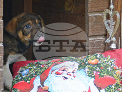 Снимка: Община Варна