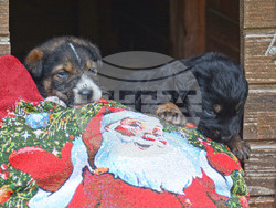 Снимка: Община Варна