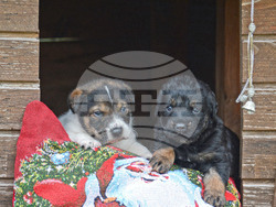 Снимка: Община Варна