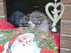 Снимка: Община Варна