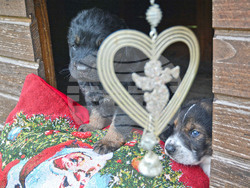 Снимка: Община Варна