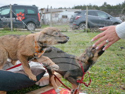 Снимка: Община Варна