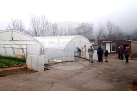 Троян - споделен ритуал - реколта - джаз - соул - оранжерии