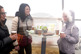 Троян - споделен ритуал - реколта - джаз - соул - оранжерии