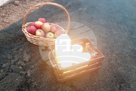 Троян - споделен ритуал - реколта - джаз - соул - оранжерии