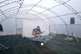 Троян - споделен ритуал - реколта - джаз - соул - оранжерии