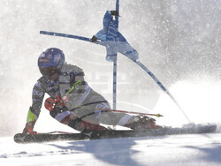 Alpine Skiing World Cup