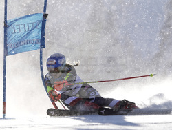 Alpine Skiing World Cup