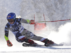 Alpine Skiing World Cup