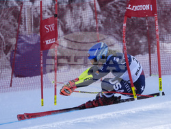 Alpine Skiing World Cup