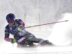 Alpine Skiing World Cup