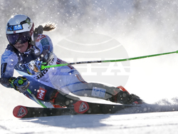 Alpine Skiing World Cup