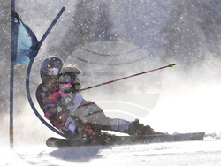 Alpine Skiing World Cup