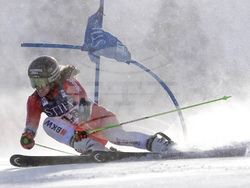 Alpine Skiing World Cup