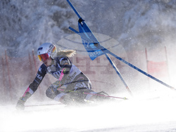 Alpine Skiing World Cup