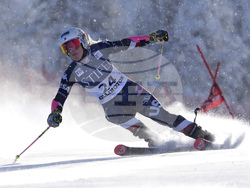 Alpine Skiing World Cup