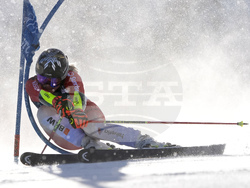 Alpine Skiing World Cup