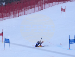 Alpine Skiing World Cup